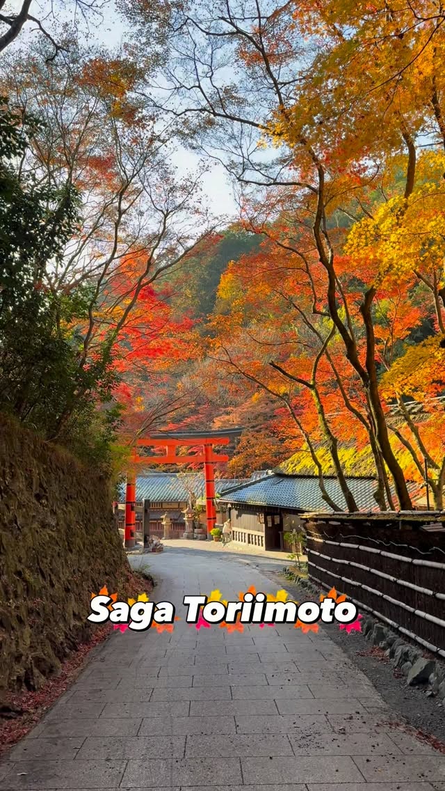 https://d2zmqyh8caa94h.cloudfront.net/creator_social_media_contents/instagram/reels/DQokk4WkTVd/DQokk4WkTVd.mp4
