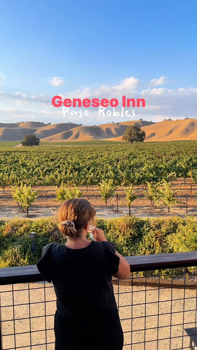 Vineyard Stays With Vineyard Views