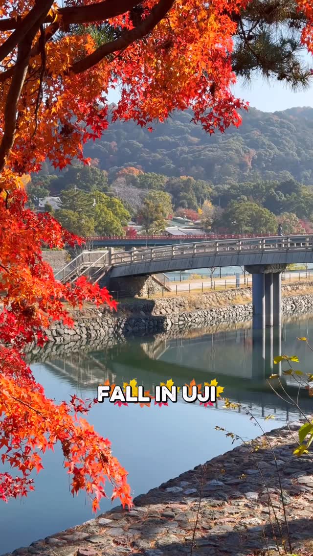 https://d2zmqyh8caa94h.cloudfront.net/creator_social_media_contents/instagram/reels/DQzSah-kyrT/DQzSah-kyrT.mp4