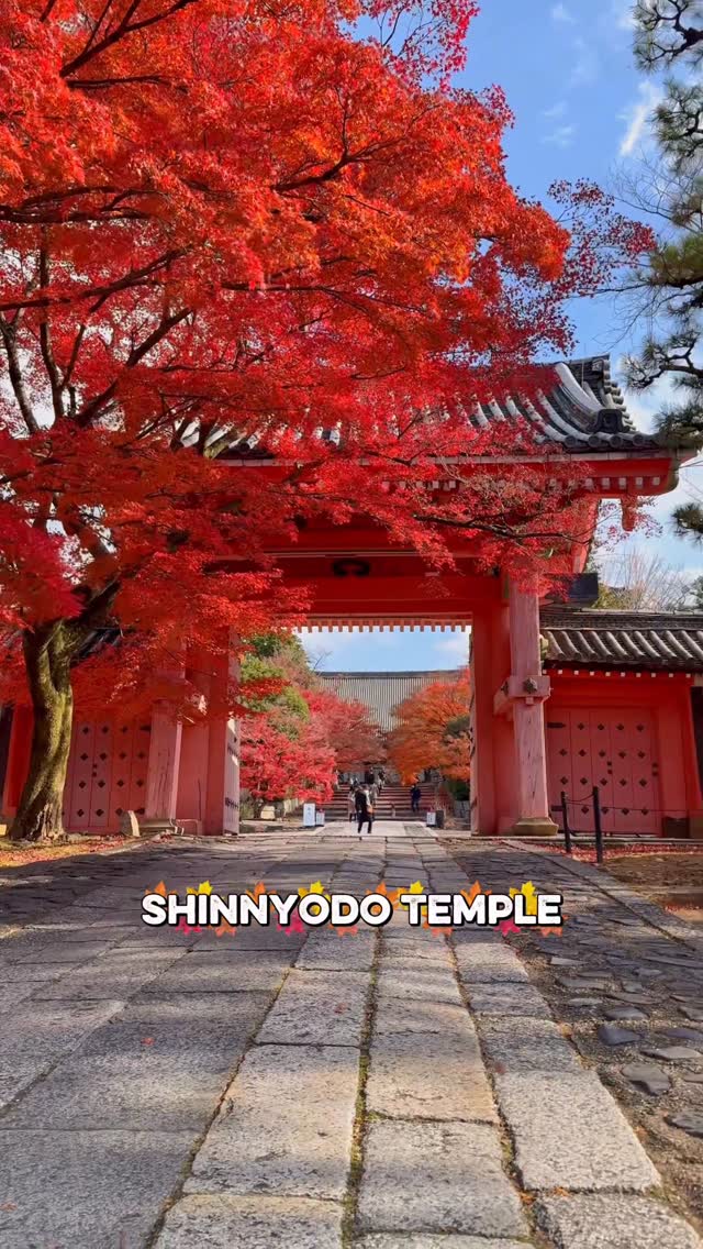 https://d2zmqyh8caa94h.cloudfront.net/creator_social_media_contents/instagram/reels/DQzgNSKk_6_/DQzgNSKk_6_.mp4