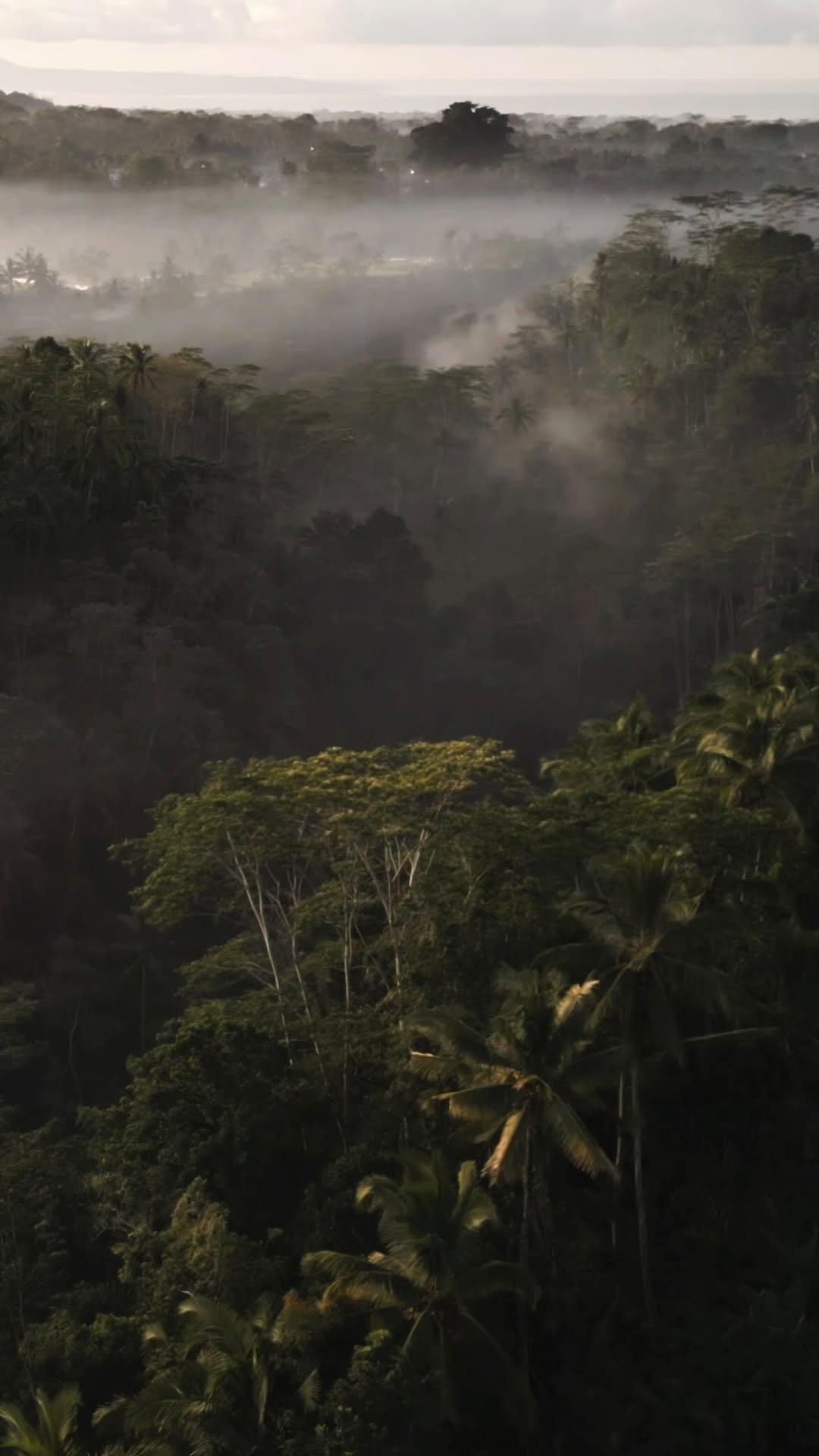 https://d2zmqyh8caa94h.cloudfront.net/creator_social_media_contents/instagram/reels/DR0-htBCZWX/DR0-htBCZWX.mp4