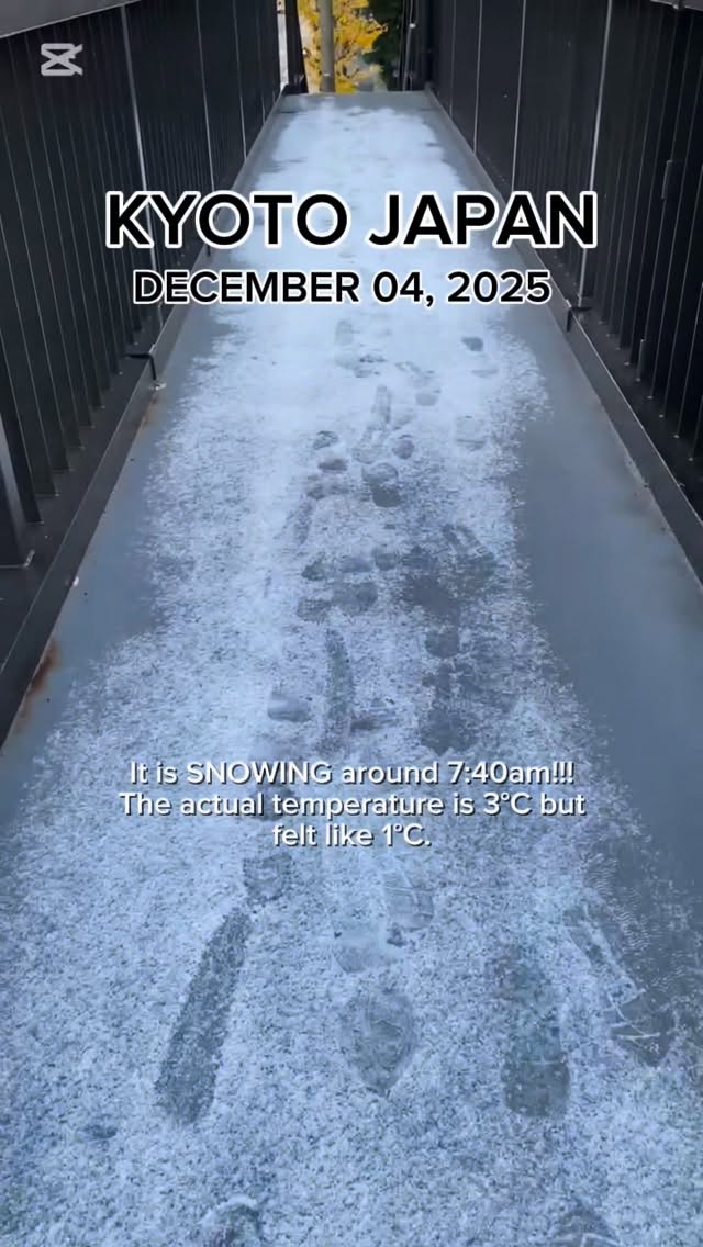 https://d2zmqyh8caa94h.cloudfront.net/creator_social_media_contents/instagram/reels/DR0daEIE_nn/DR0daEIE_nn.mp4