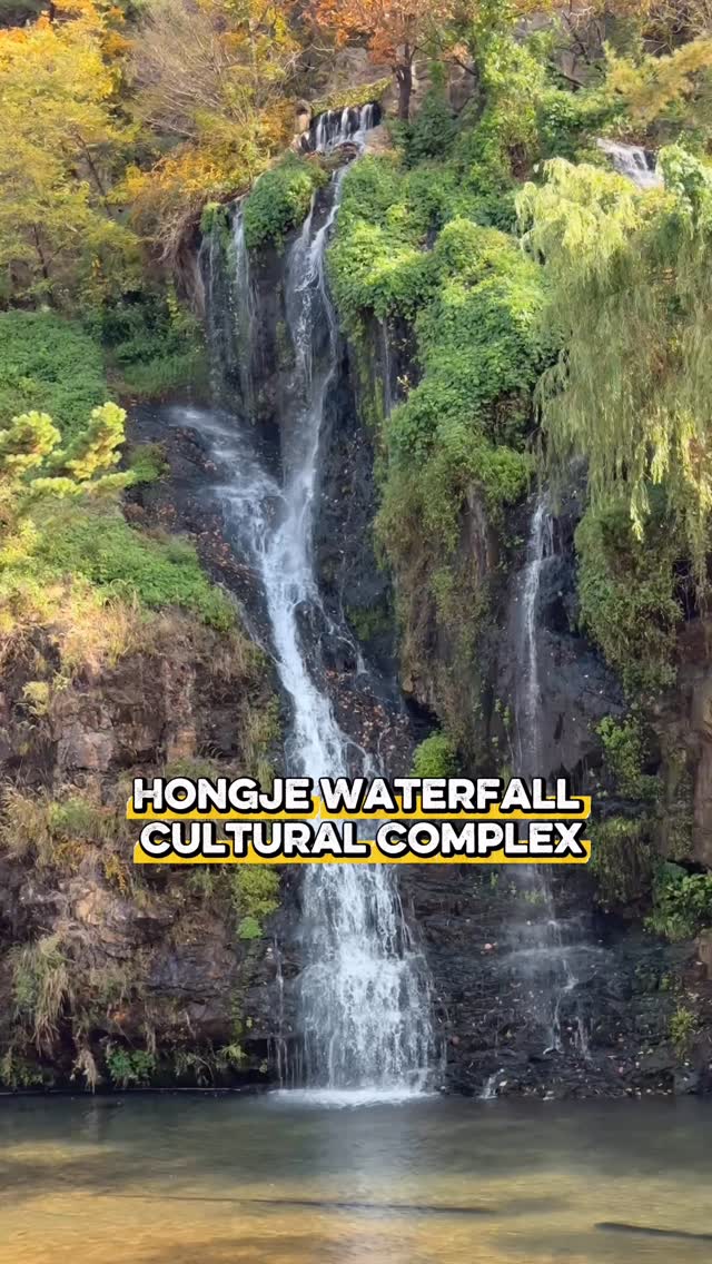 https://d2zmqyh8caa94h.cloudfront.net/creator_social_media_contents/instagram/reels/DRCAwRzkdbx/DRCAwRzkdbx.mp4