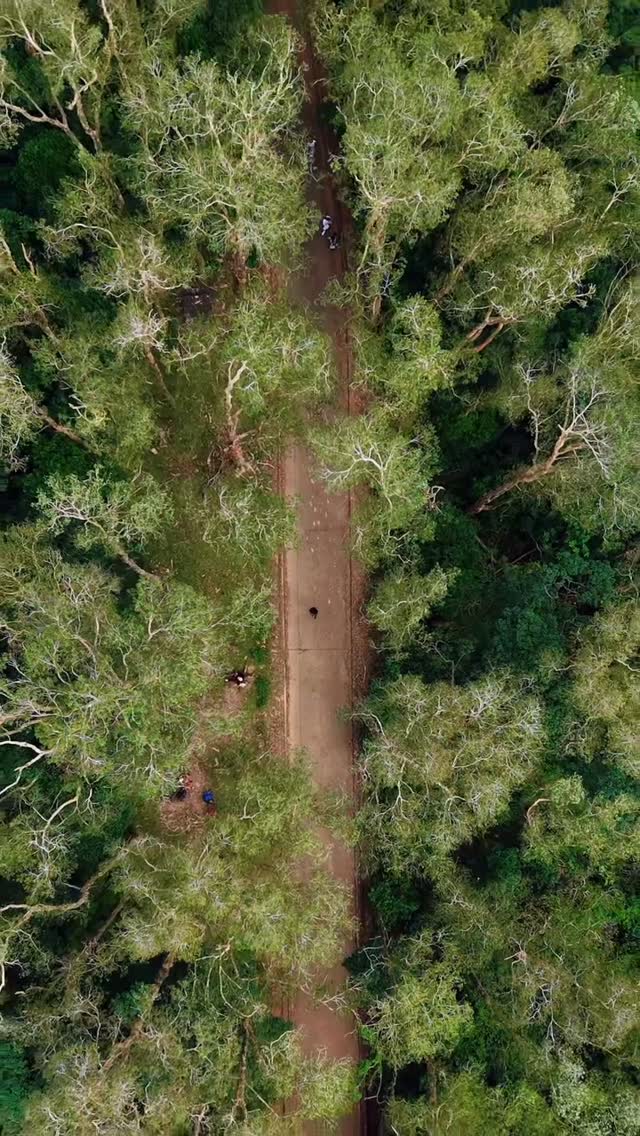 https://d2zmqyh8caa94h.cloudfront.net/creator_social_media_contents/instagram/reels/DRE2RJrEr4f/DRE2RJrEr4f.mp4
