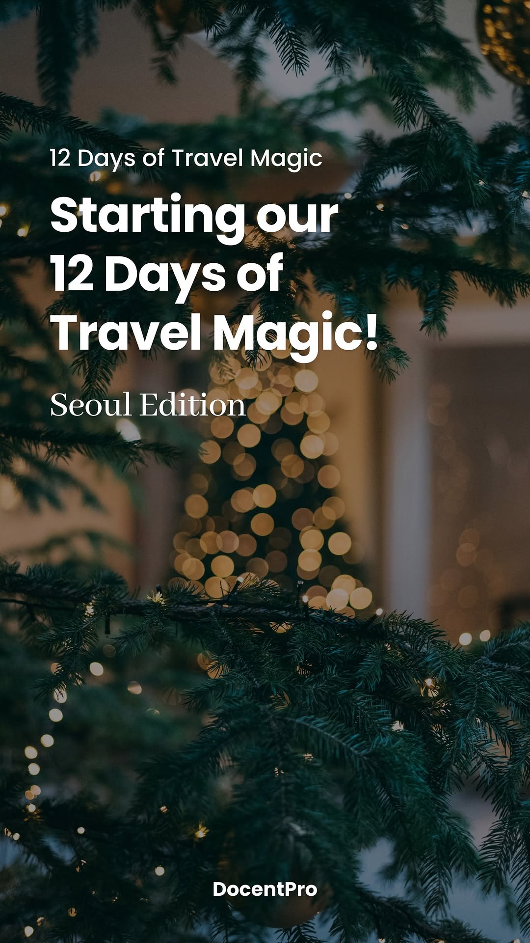 Seoul's Authentic Holiday Markets
