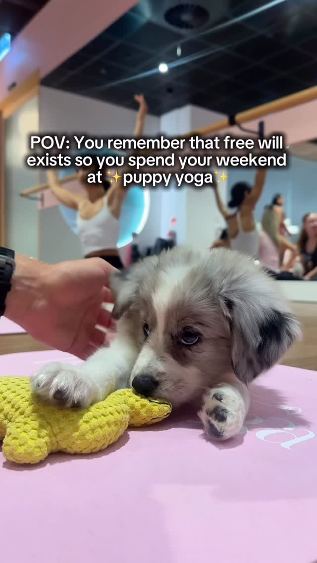 https://d2zmqyh8caa94h.cloudfront.net/creator_social_media_contents/instagram/reels/DRomVF5klbl/DRomVF5klbl.mp4