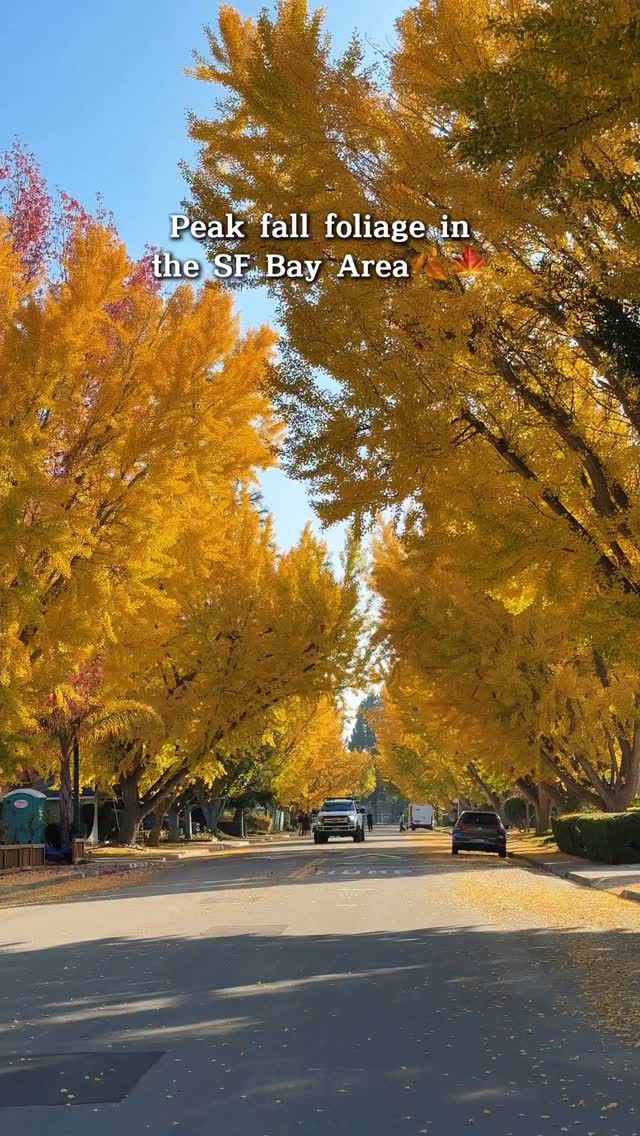 https://d2zmqyh8caa94h.cloudfront.net/creator_social_media_contents/instagram/reels/DRxMjlBkfGn/DRxMjlBkfGn.mp4