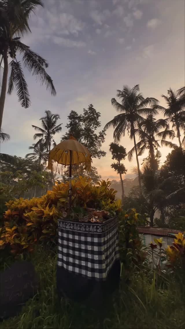 https://d2zmqyh8caa94h.cloudfront.net/creator_social_media_contents/instagram/reels/DRxOa8rExNO/DRxOa8rExNO.mp4