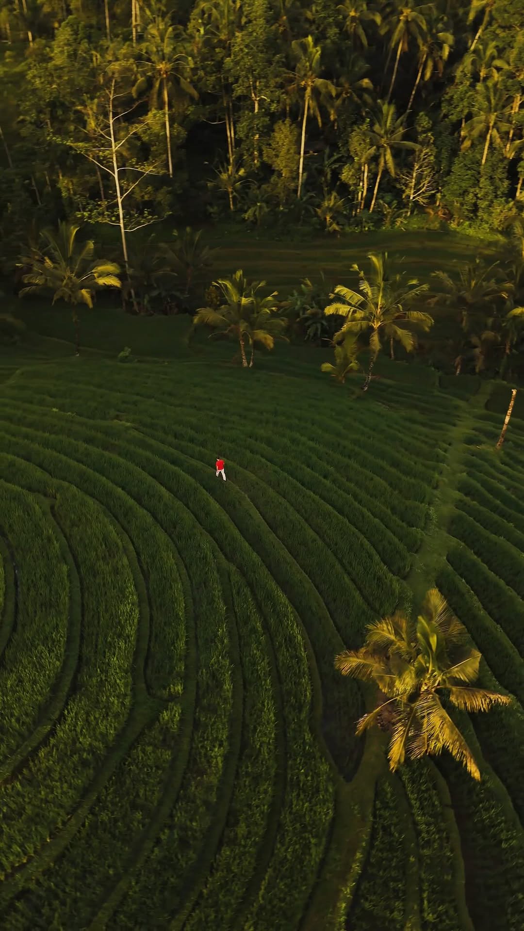 https://d2zmqyh8caa94h.cloudfront.net/creator_social_media_contents/instagram/reels/DSXJeJqCdFx/DSXJeJqCdFx.mp4