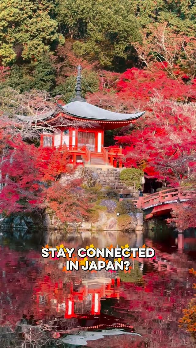 https://d2zmqyh8caa94h.cloudfront.net/creator_social_media_contents/instagram/reels/DSaCKOfEQBD/DSaCKOfEQBD.mp4