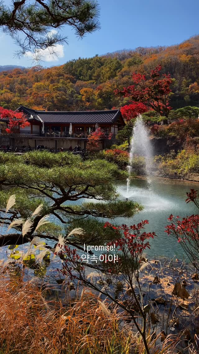 https://d2zmqyh8caa94h.cloudfront.net/creator_social_media_contents/instagram/reels/DShvh9NkQD-/DShvh9NkQD-.mp4