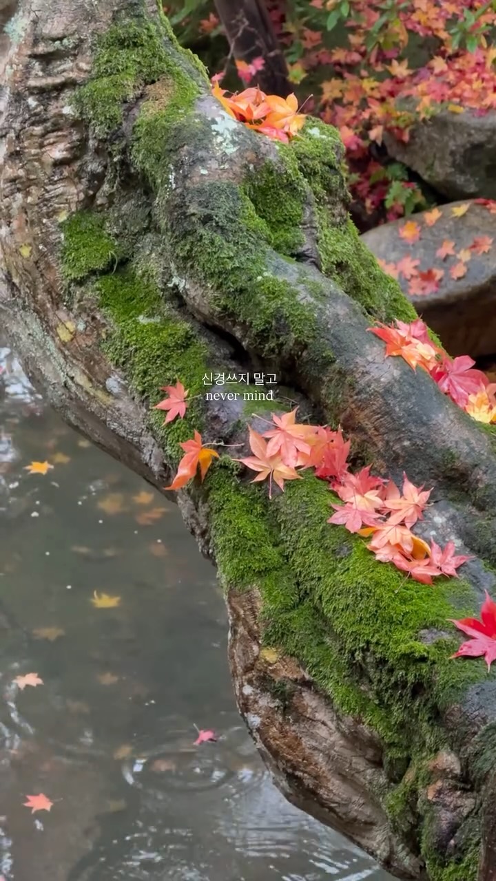 https://d2zmqyh8caa94h.cloudfront.net/creator_social_media_contents/instagram/reels/DSsRJ89EWPk/DSsRJ89EWPk.mp4