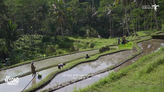 https://d2zmqyh8caa94h.cloudfront.net/creator_social_media_contents/instagram/reels/DSy37m_AYIs/DSy37m_AYIs.mp4