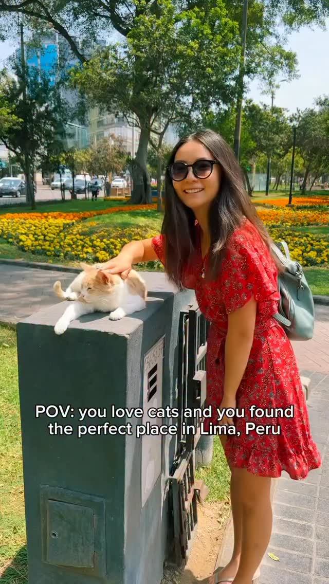 https://d2zmqyh8caa94h.cloudfront.net/creator_social_media_contents/instagram/reels/DTY8N7vEmqZ/DTY8N7vEmqZ.mp4