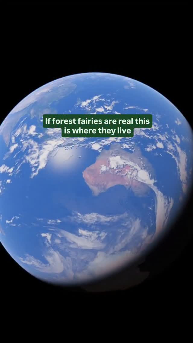 https://d2zmqyh8caa94h.cloudfront.net/creator_social_media_contents/instagram/reels/DUpZa9Wj5Rn/DUpZa9Wj5Rn.mp4