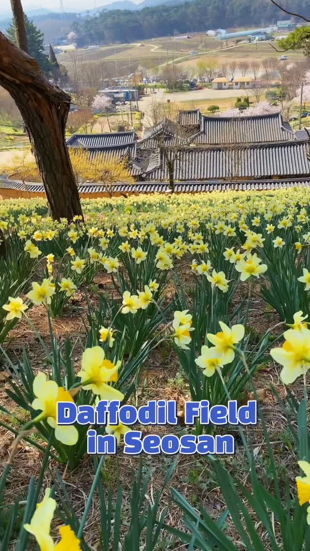 https://d2zmqyh8caa94h.cloudfront.net/creator_social_media_contents/instagram/reels/DV7tA8pkX-h/DV7tA8pkX-h.mp4