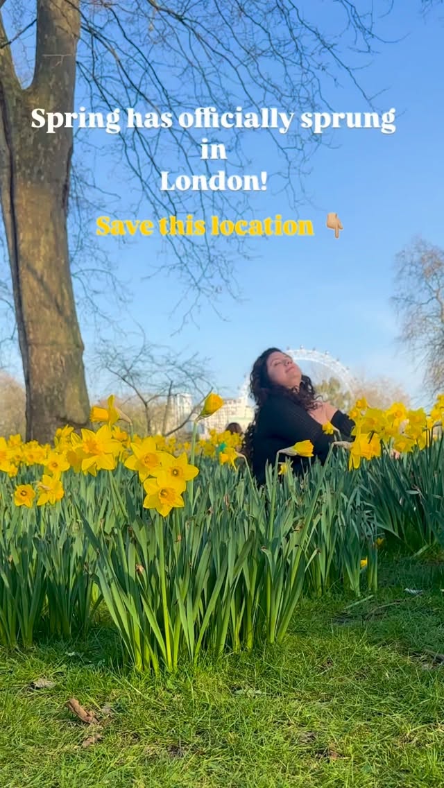 https://d2zmqyh8caa94h.cloudfront.net/creator_social_media_contents/instagram/reels/DVHgFa7gkXu/DVHgFa7gkXu.mp4