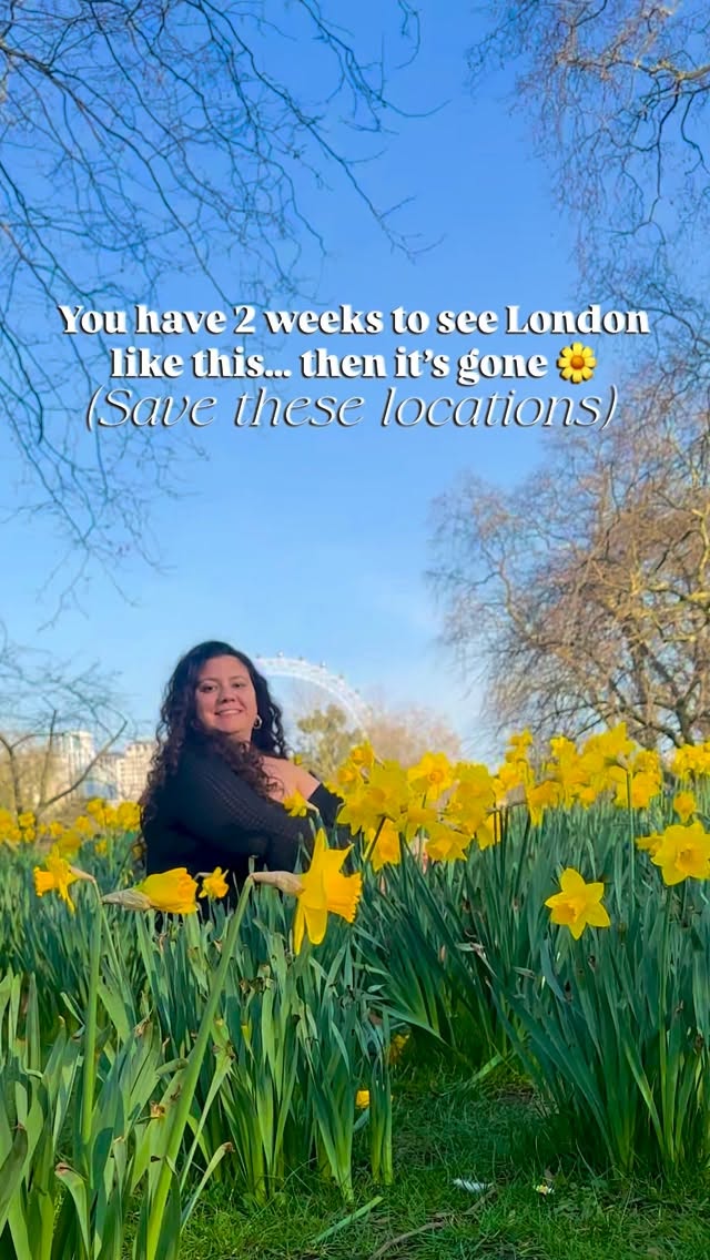 https://d2zmqyh8caa94h.cloudfront.net/creator_social_media_contents/instagram/reels/DVHj-YyAsuP/DVHj-YyAsuP.mp4