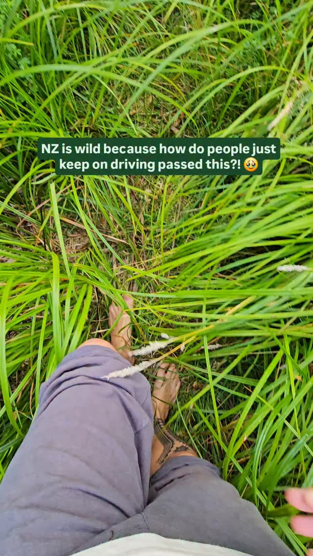 https://d2zmqyh8caa94h.cloudfront.net/creator_social_media_contents/instagram/reels/DVKhs6ND7Ww/DVKhs6ND7Ww.mp4