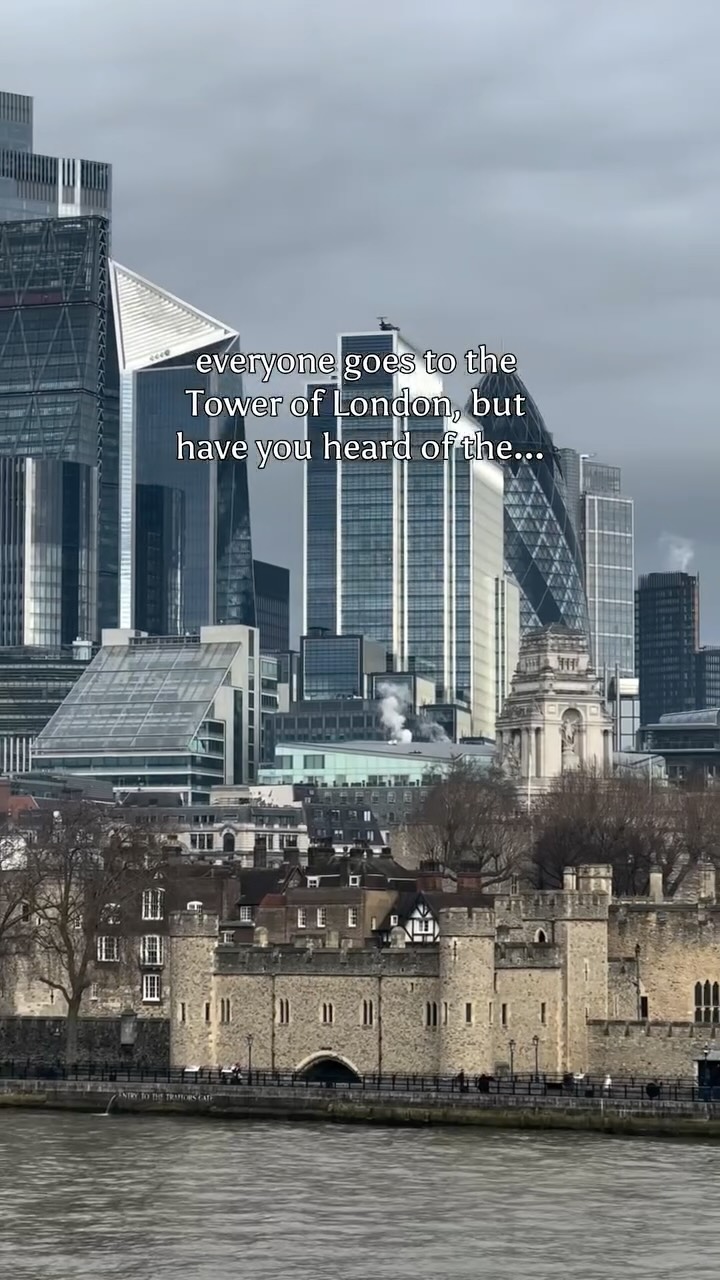 https://d2zmqyh8caa94h.cloudfront.net/creator_social_media_contents/instagram/reels/DVO_Da7DHY7/DVO_Da7DHY7.mp4