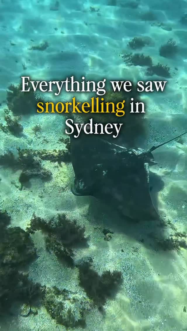 https://d2zmqyh8caa94h.cloudfront.net/creator_social_media_contents/instagram/reels/DVVPOYSkgvC/DVVPOYSkgvC.mp4