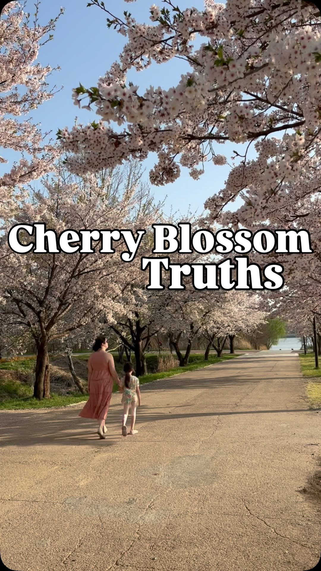 https://d2zmqyh8caa94h.cloudfront.net/creator_social_media_contents/instagram/reels/DViQ4f7j-Fy/DViQ4f7j-Fy.mp4