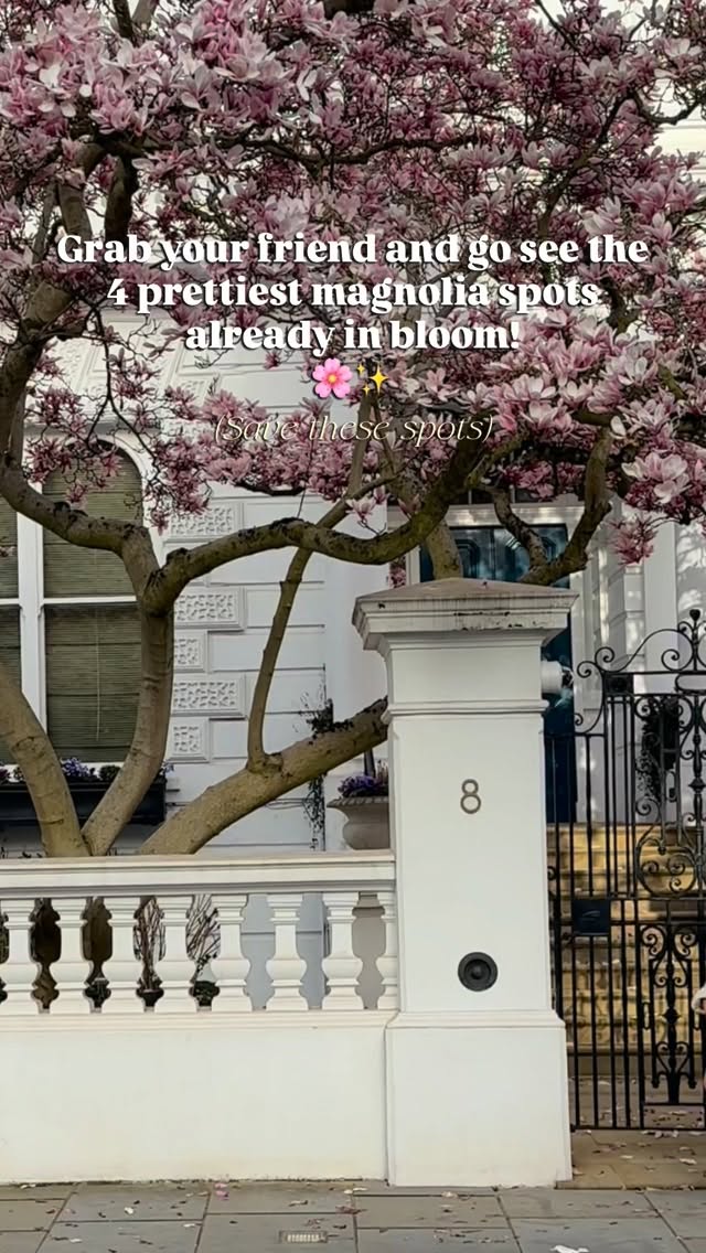 https://d2zmqyh8caa94h.cloudfront.net/creator_social_media_contents/instagram/reels/DVjmbVxAkYw/DVjmbVxAkYw.mp4