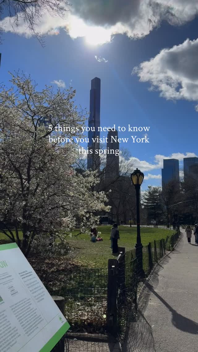 https://d2zmqyh8caa94h.cloudfront.net/creator_social_media_contents/instagram/reels/DVrBws7jase/DVrBws7jase.mp4