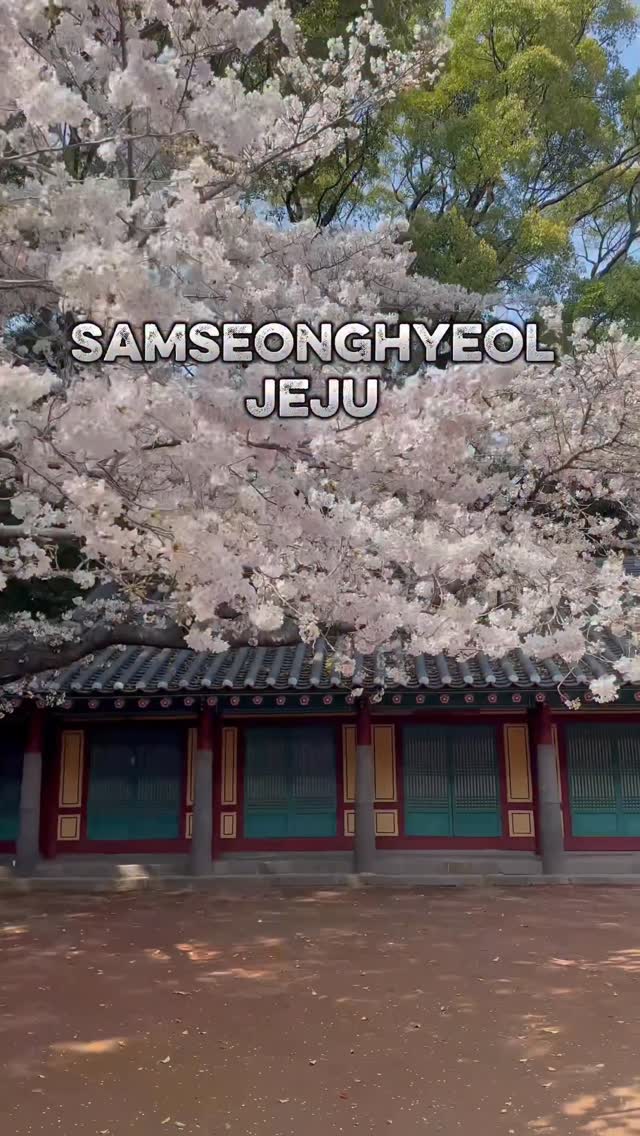 https://d2zmqyh8caa94h.cloudfront.net/creator_social_media_contents/instagram/reels/DW-f7PZkX2P/DW-f7PZkX2P.mp4