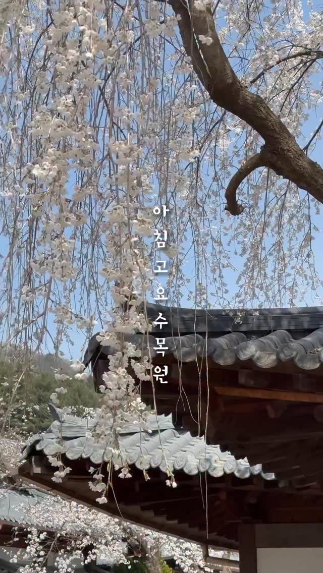 https://d2zmqyh8caa94h.cloudfront.net/creator_social_media_contents/instagram/reels/DW-griLEUvC/DW-griLEUvC.mp4