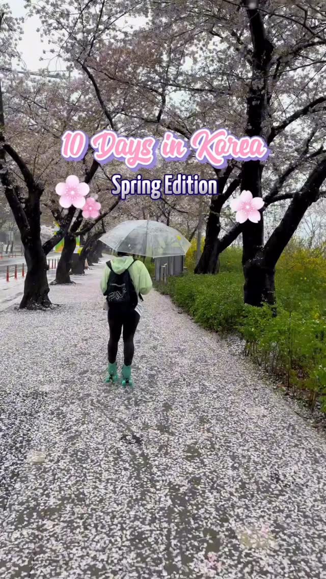 https://d2zmqyh8caa94h.cloudfront.net/creator_social_media_contents/instagram/reels/DW-rjTNEfAz/DW-rjTNEfAz.mp4