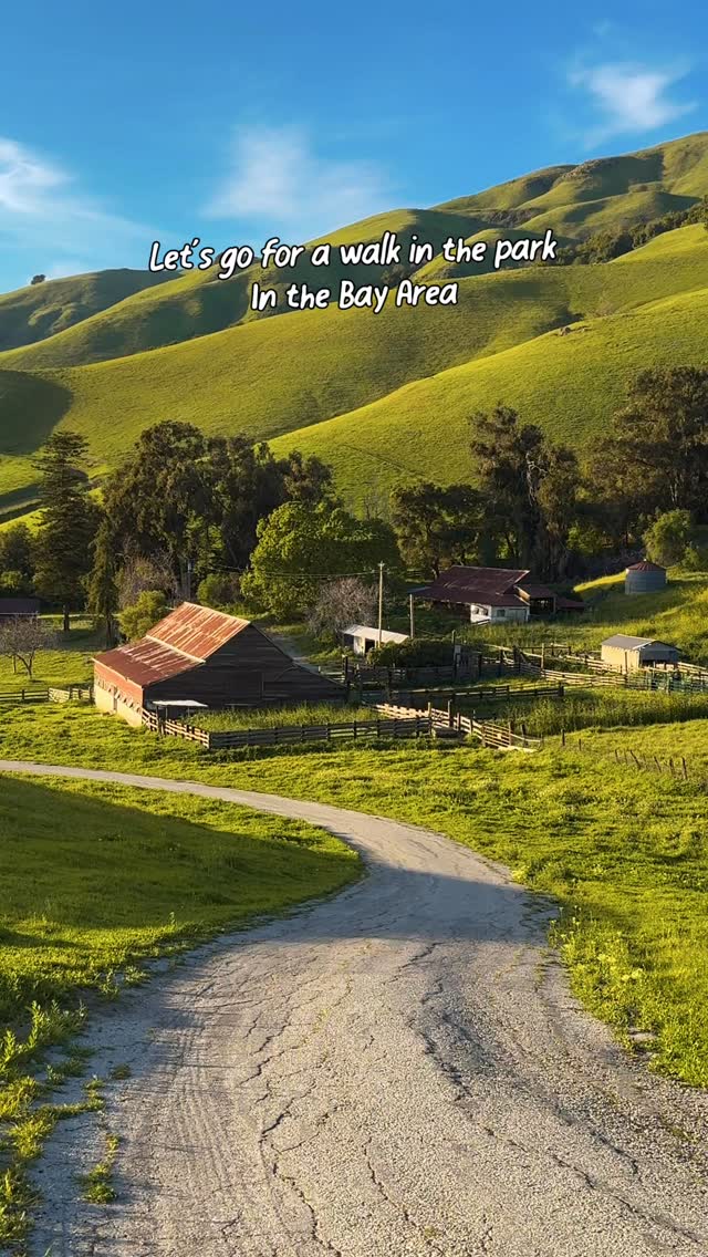 https://d2zmqyh8caa94h.cloudfront.net/creator_social_media_contents/instagram/reels/DW2fmbWyxLX/DW2fmbWyxLX.mp4