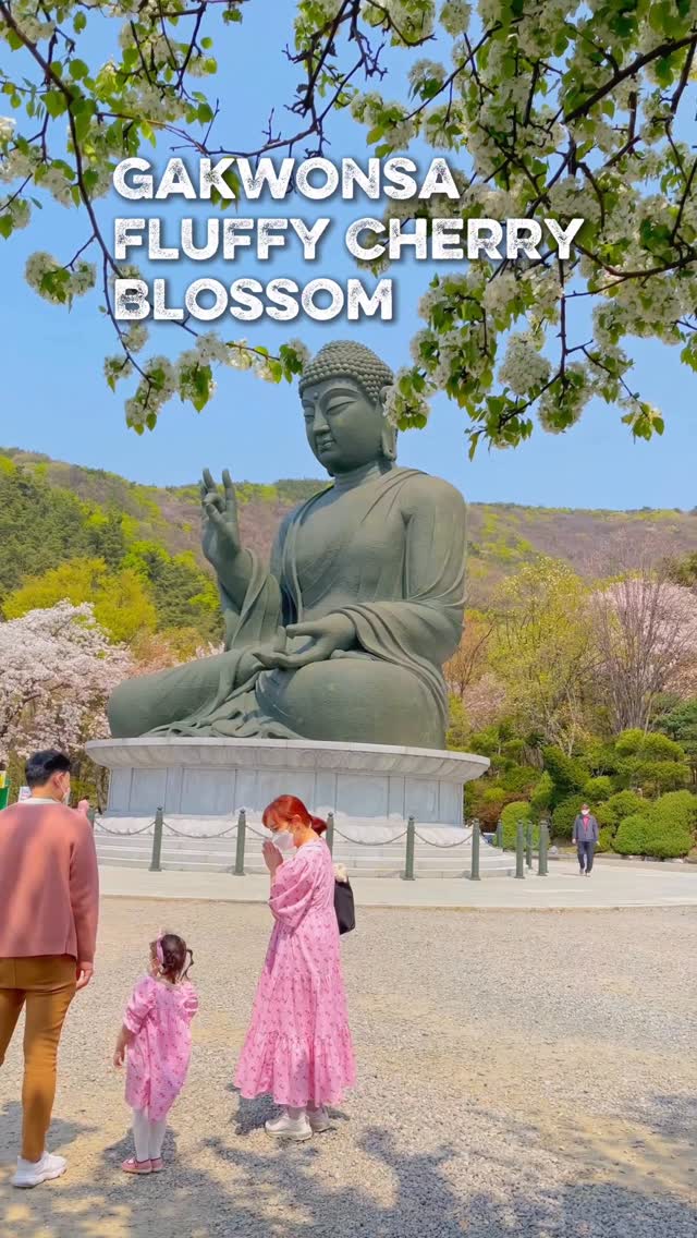 https://d2zmqyh8caa94h.cloudfront.net/creator_social_media_contents/instagram/reels/DW5iT0skSGm/DW5iT0skSGm.mp4