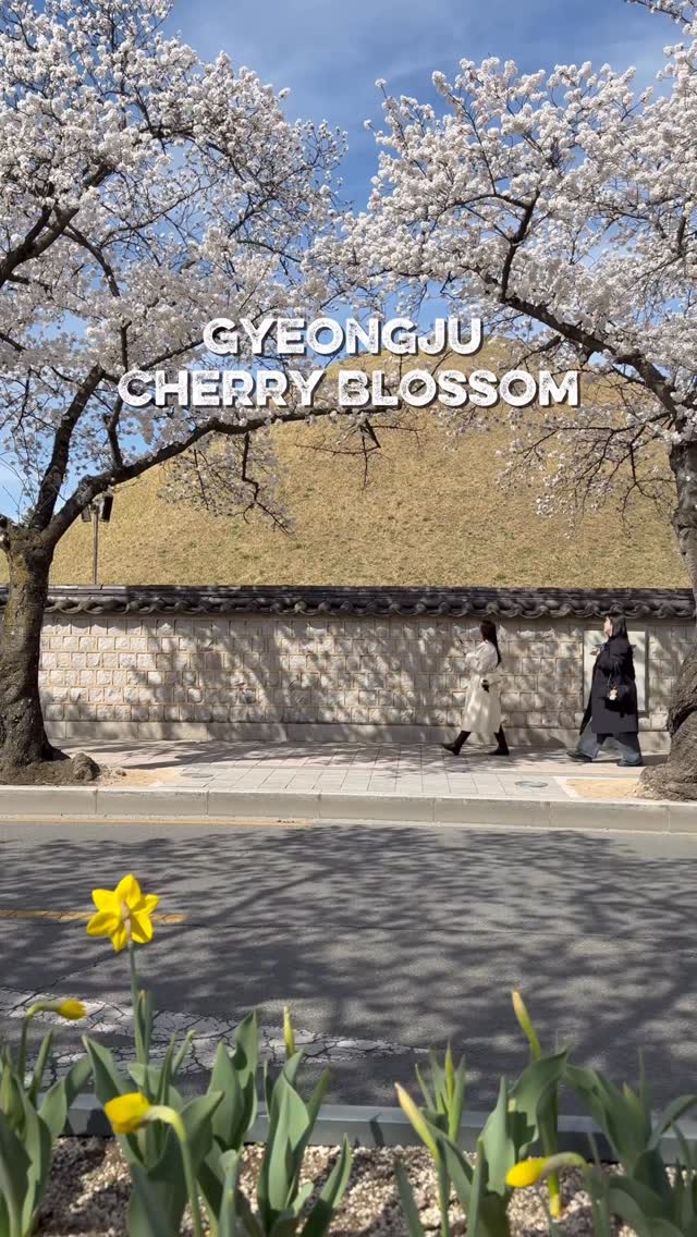 https://d2zmqyh8caa94h.cloudfront.net/creator_social_media_contents/instagram/reels/DW8nuYXkWYa/DW8nuYXkWYa.mp4