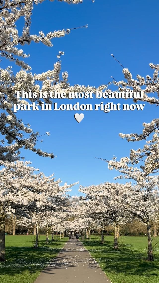 https://d2zmqyh8caa94h.cloudfront.net/creator_social_media_contents/instagram/reels/DWAA1Brgrzh/DWAA1Brgrzh.mp4