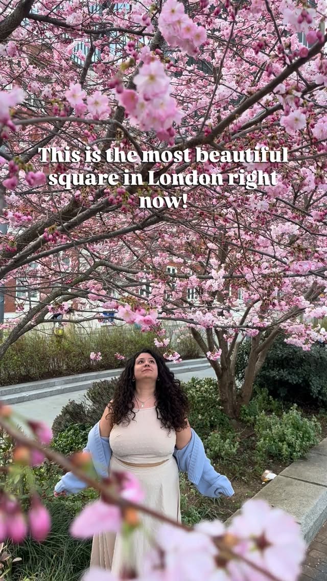 https://d2zmqyh8caa94h.cloudfront.net/creator_social_media_contents/instagram/reels/DWAFeUXAgNn/DWAFeUXAgNn.mp4