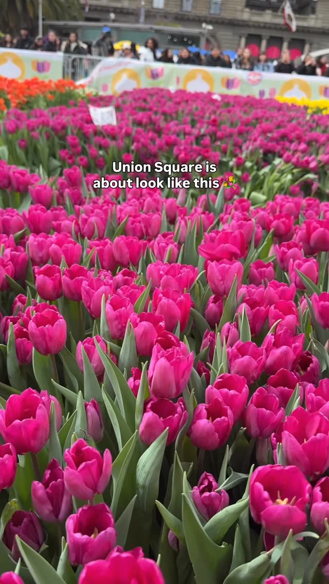 https://d2zmqyh8caa94h.cloudfront.net/creator_social_media_contents/instagram/reels/DWFV8vngbMh/DWFV8vngbMh.mp4