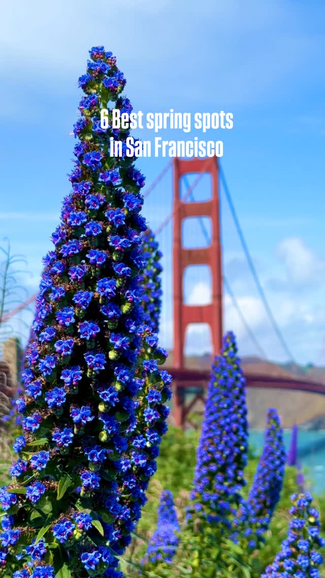 https://d2zmqyh8caa94h.cloudfront.net/creator_social_media_contents/instagram/reels/DWFt-oZiedf/DWFt-oZiedf.mp4