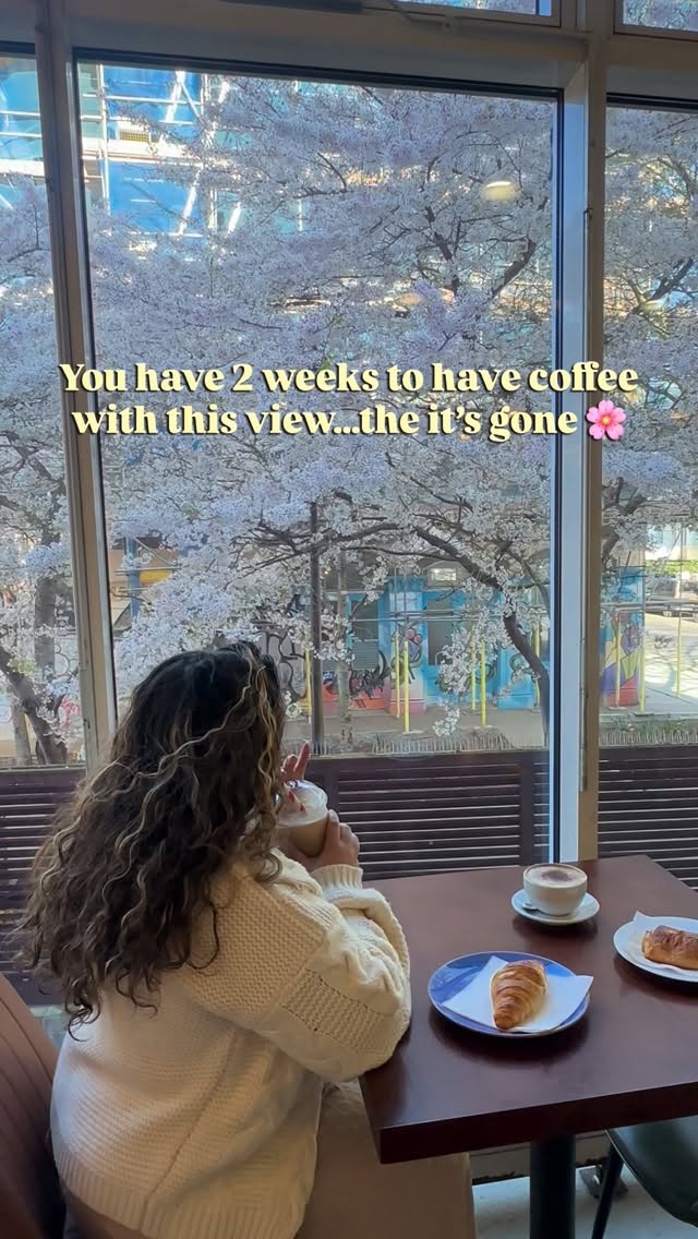 https://d2zmqyh8caa94h.cloudfront.net/creator_social_media_contents/instagram/reels/DWG83t9Apjx/DWG83t9Apjx.mp4