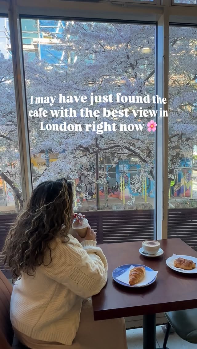https://d2zmqyh8caa94h.cloudfront.net/creator_social_media_contents/instagram/reels/DWKHEZNgkJ5/DWKHEZNgkJ5.mp4