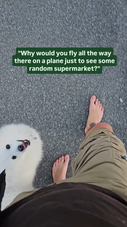 https://d2zmqyh8caa94h.cloudfront.net/creator_social_media_contents/instagram/reels/DWKftebTuVw/DWKftebTuVw.mp4