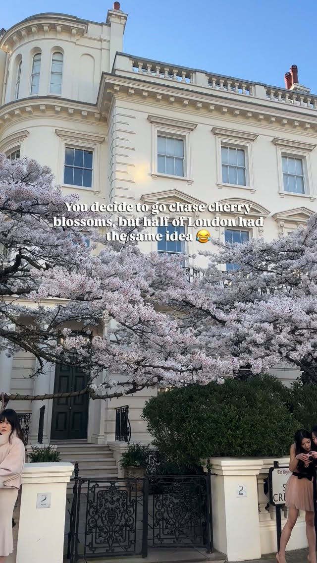 https://d2zmqyh8caa94h.cloudfront.net/creator_social_media_contents/instagram/reels/DWR0QDHAjhB/DWR0QDHAjhB.mp4