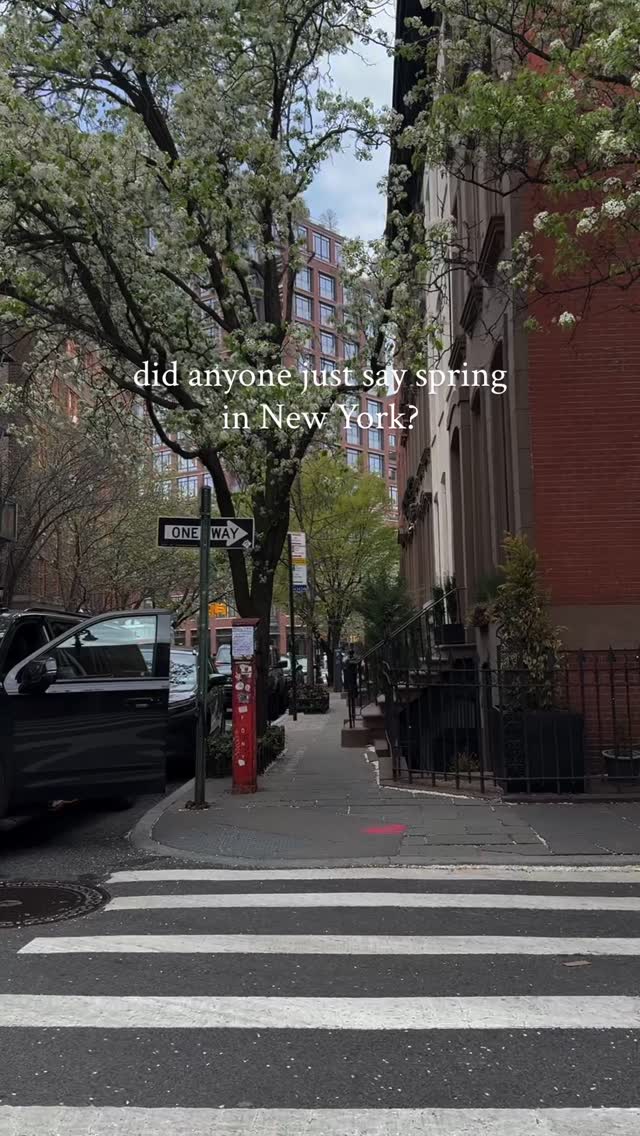 https://d2zmqyh8caa94h.cloudfront.net/creator_social_media_contents/instagram/reels/DWR9AIiNiAT/DWR9AIiNiAT.mp4