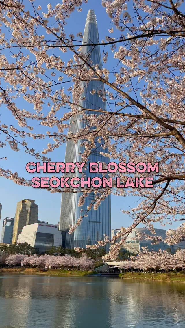 https://d2zmqyh8caa94h.cloudfront.net/creator_social_media_contents/instagram/reels/DW_CCgfTx_3/DW_CCgfTx_3.mp4
