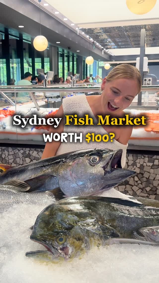 https://d2zmqyh8caa94h.cloudfront.net/creator_social_media_contents/instagram/reels/DWqtoxeEib9/DWqtoxeEib9.mp4