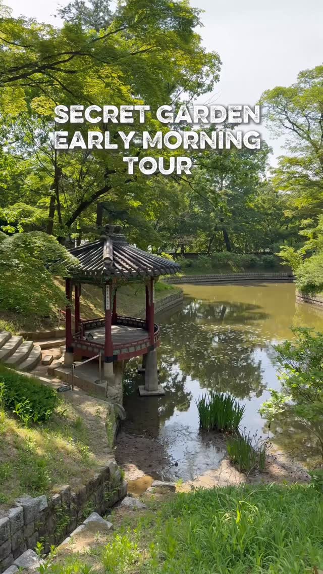 https://d2zmqyh8caa94h.cloudfront.net/creator_social_media_contents/instagram/reels/DX4jgUnN63t/DX4jgUnN63t.mp4