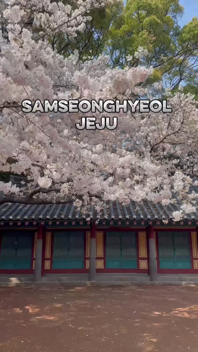 https://d2zmqyh8caa94h.cloudfront.net/creator_social_media_contents/instagram/reels/DXB2zC1kX0g/DXB2zC1kX0g.mp4