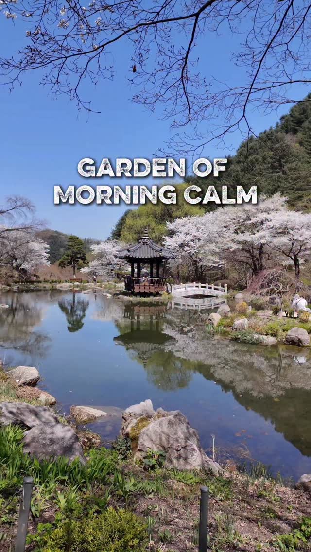 https://d2zmqyh8caa94h.cloudfront.net/creator_social_media_contents/instagram/reels/DXB4RudEQXq/DXB4RudEQXq.mp4