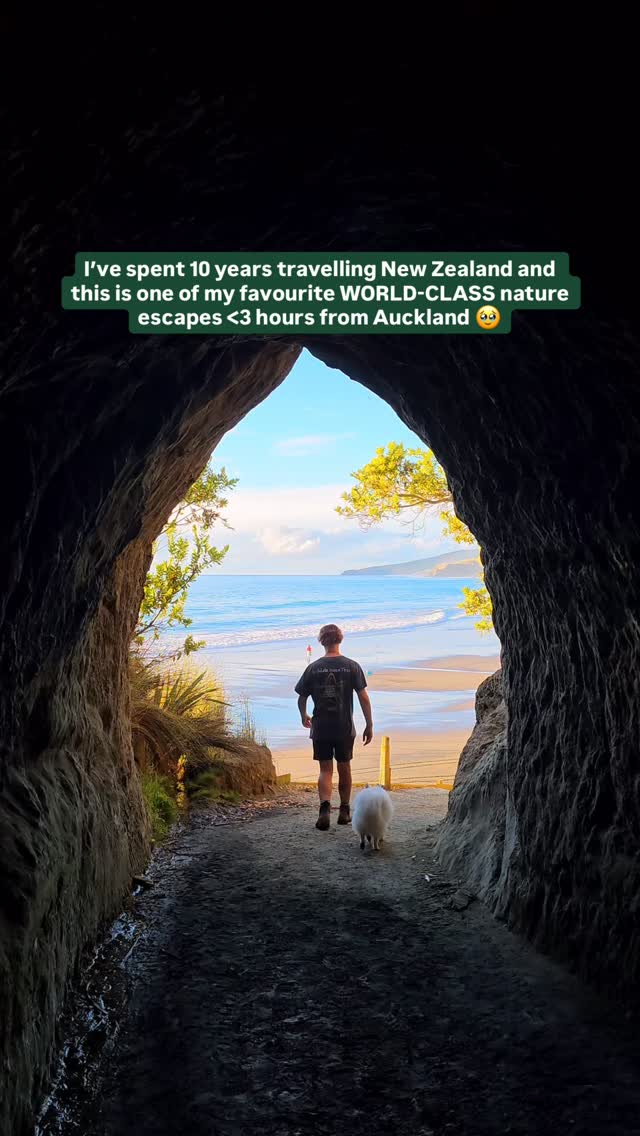 https://d2zmqyh8caa94h.cloudfront.net/creator_social_media_contents/instagram/reels/DYjDL5svhDI/DYjDL5svhDI.mp4