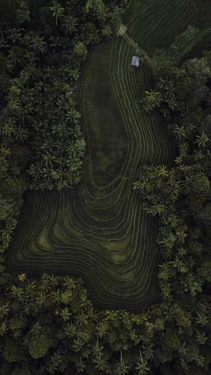 https://d2zmqyh8caa94h.cloudfront.net/creator_social_media_contents/instagram/reels/DYoywLwh6i7/DYoywLwh6i7.mp4
